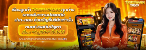 tigerwin369 เว็บตรงแตกง่าย ฝากถอนอัตโนมัติ ไม่มีขั้นต่ำ สมาชิกใหม่รับโบนัส 100 เล่นสล็อตแตกง่าย คาสิโนสดครบวงจร
